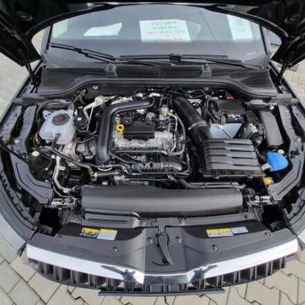 1,0 TSI V ZÁRUCE DO 2030