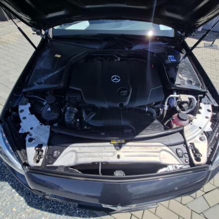 220d Bluetec 6°MANUÁL NEZ.TOPENÍ