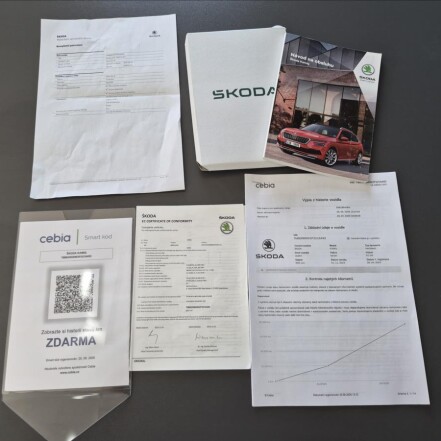 1,0 TSI DSG 7° PRODL.ZÁRUKA DO 2/2029