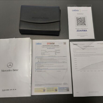 250 4Matic ČR 2.MAJITELKA