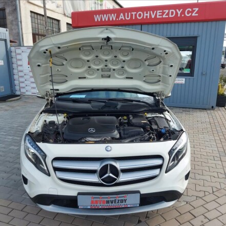 250 4Matic ČR 2.MAJITELKA