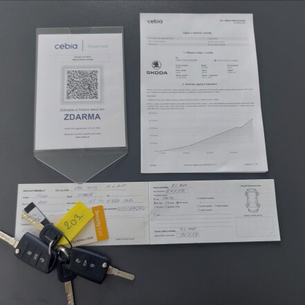 1,5 TSI G-TEC DSG STYLE ČR