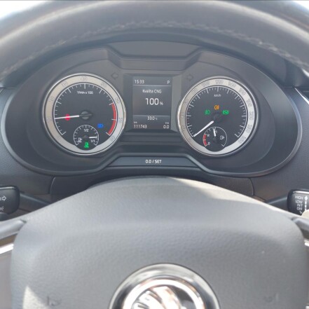 1,5 TSI G-TEC DSG STYLE ČR